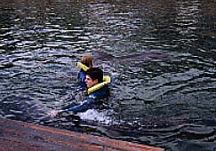 dolphin3