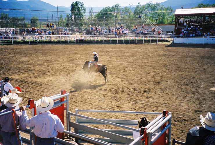 BullRiding01