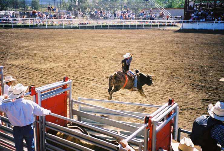 BullRiding02