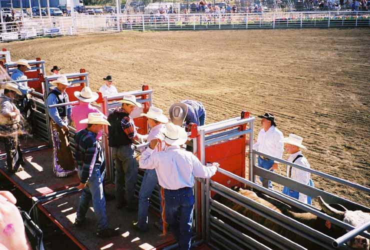 BullRiding03