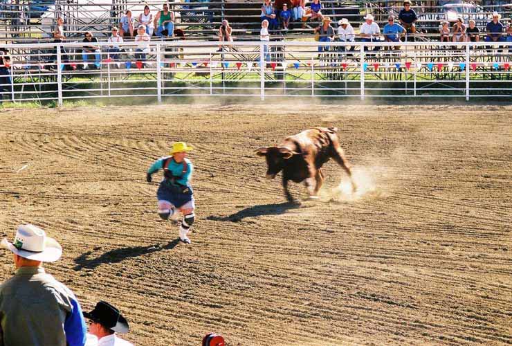BullRiding04