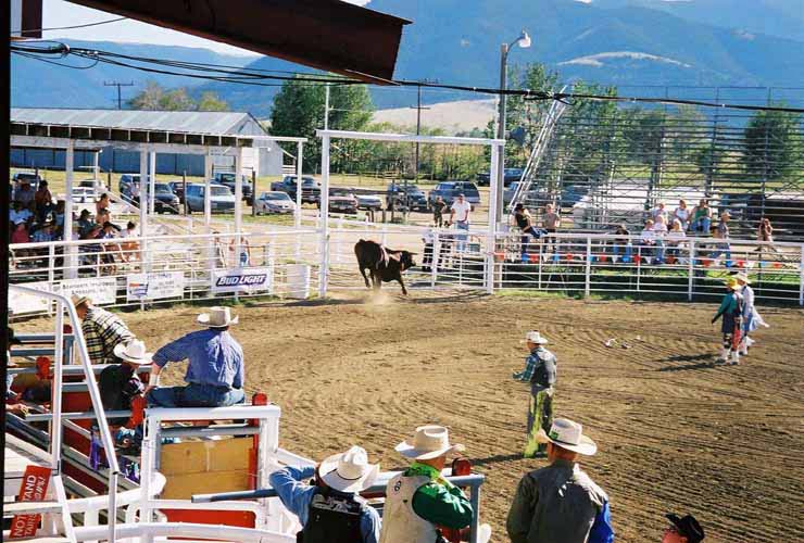 BullRiding05