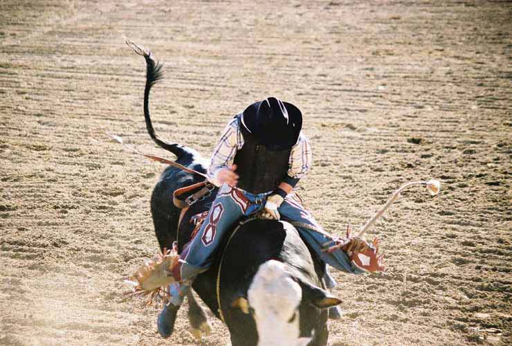 BullRiding10