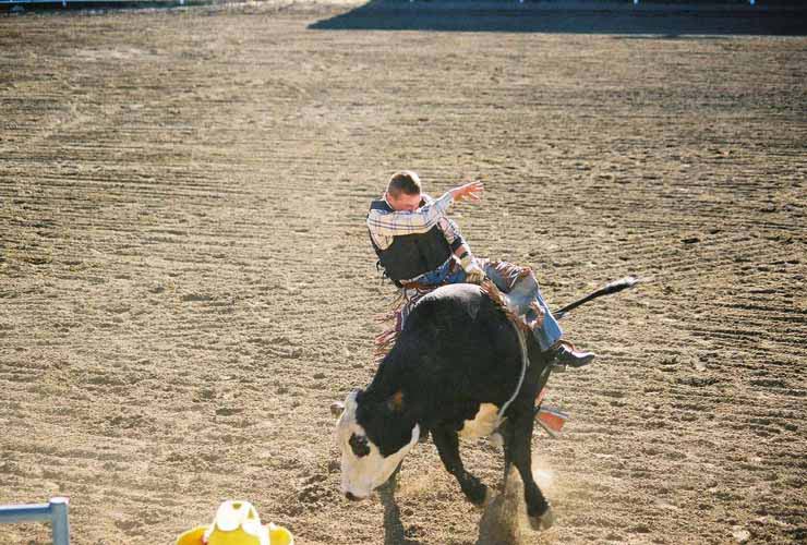 BullRiding11