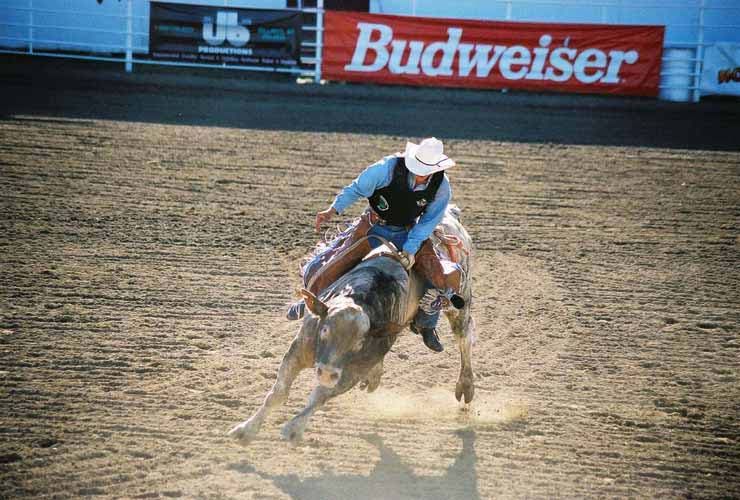 BullRiding12