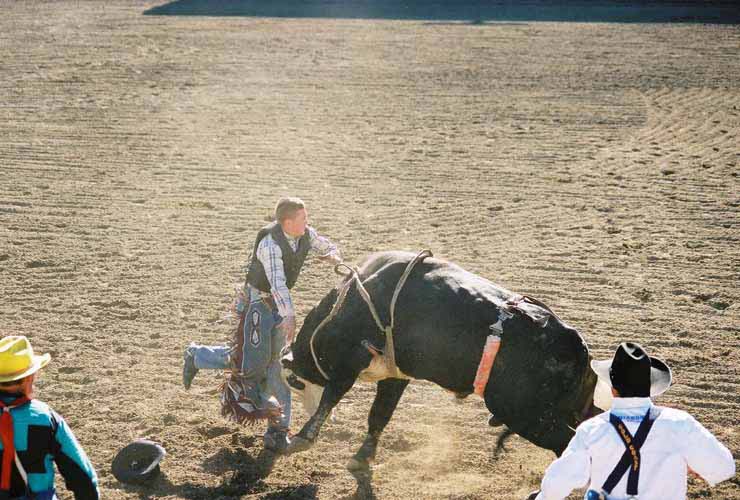 BullRiding13