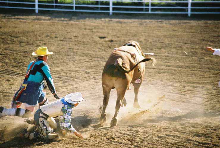 BullRiding16