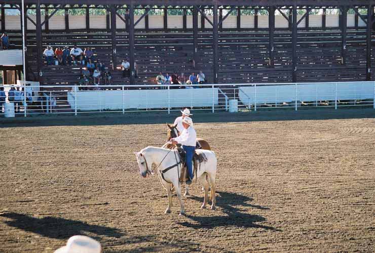 BullRiding21