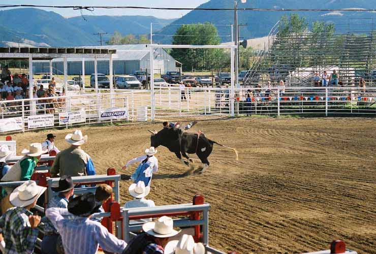 BullRiding22