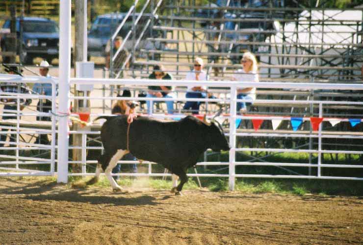 BullRiding23