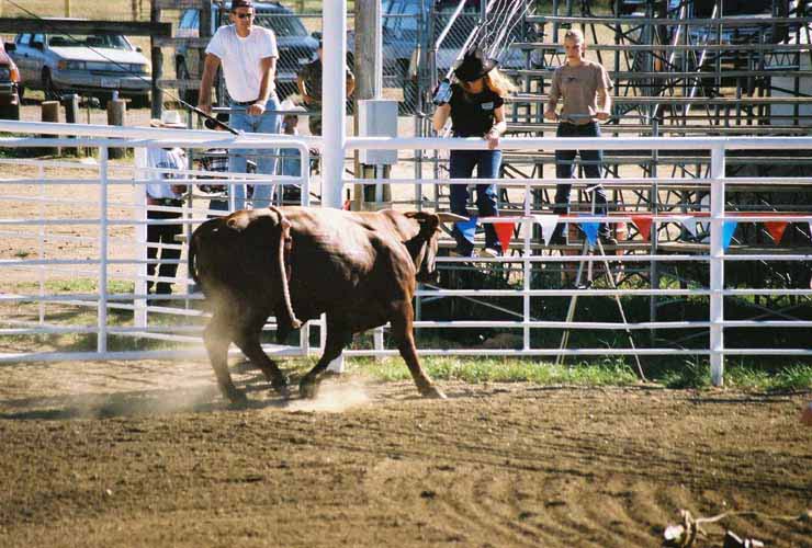 BullRiding26