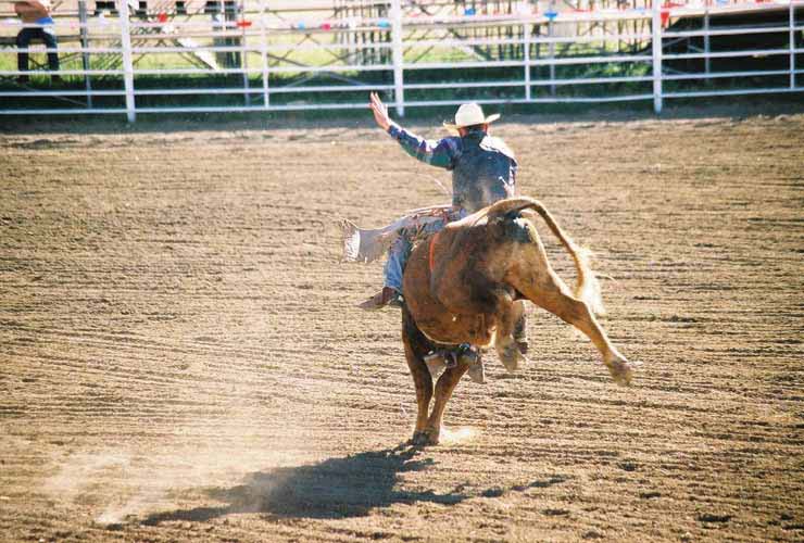 BullRiding27