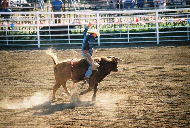 BullRiding28
