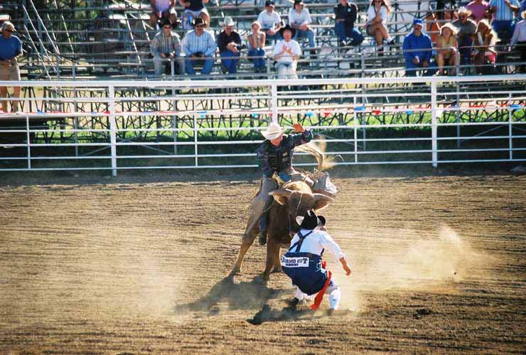BullRiding29
