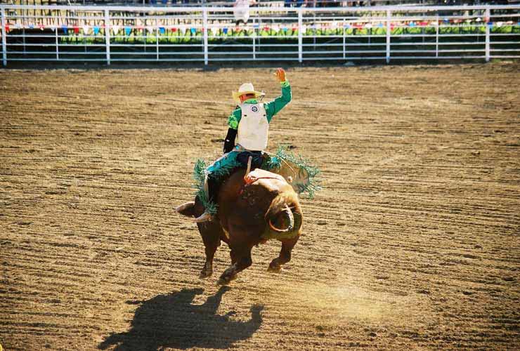 BullRiding31