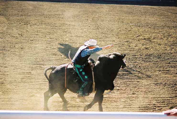 BullRiding34