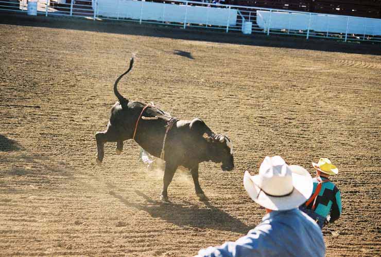 BullRiding35