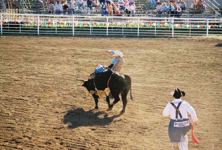 BullRiding38