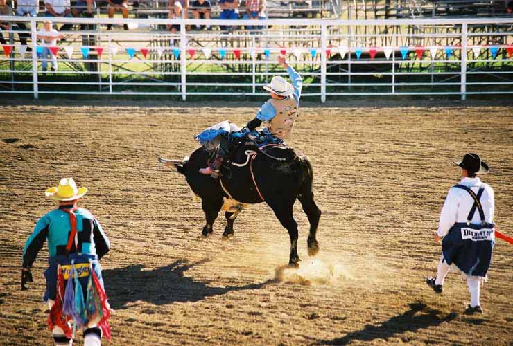 BullRiding39