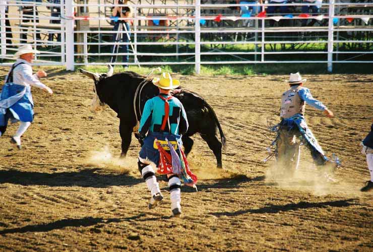 BullRiding40
