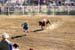 BullRiding04