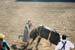 BullRiding13