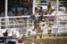BullRiding20