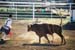 BullRiding30