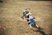 BullRiding36